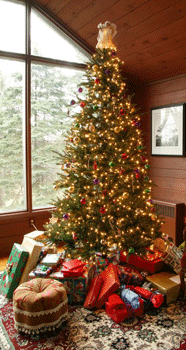 christmas-tree-with-presents.png